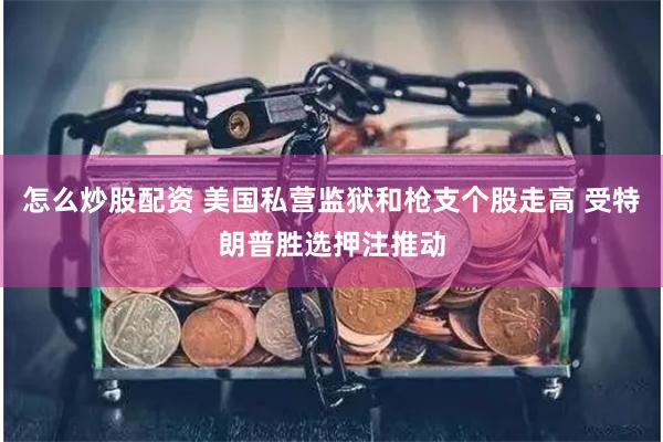 怎么炒股配资 美国私营监狱和枪支个股走高 受特朗普胜选押注推动