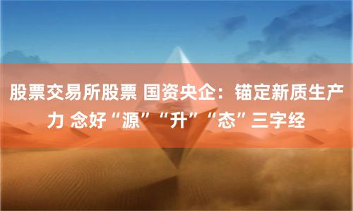 股票交易所股票 国资央企：锚定新质生产力 念好“源”“升”“态”三字经